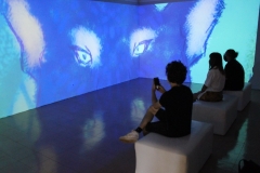 campao-videomapping-artes-5780